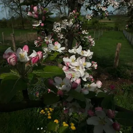펜션 Le Menhir Bleu, 2 Personnes De Plain-pied A Weris *