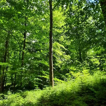 Vakantiehuis Le Menhir Bleu, 2 Personnes De Plain-pied A Weris *
