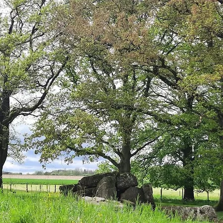 Le Menhir Bleu, 2 Personnes De Plain-pied A Weris * Durbuy
