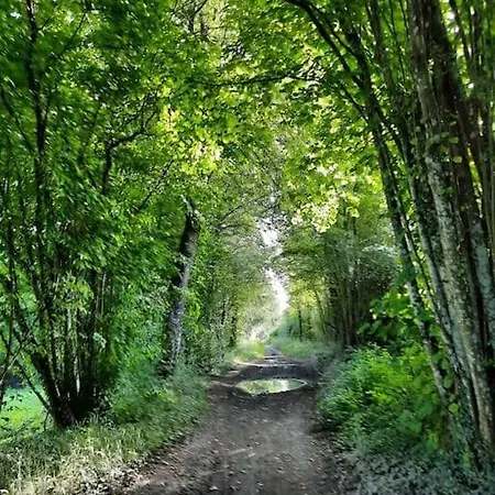 Le Menhir Bleu, 2 Personnes De Plain-pied A Weris